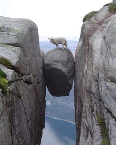 Ever been between a rock and a hard place?